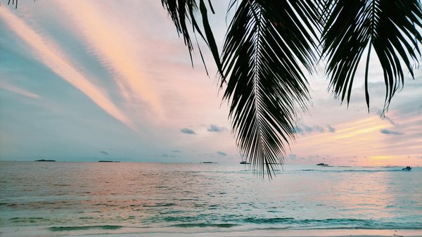 Que faire à séville : une immersion au cœur de l'andalousie authentique